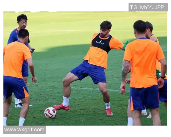 泰山队亚冠退赛38天后亚足联重罚新规出台黄牌累积将面临罚款措施